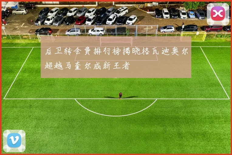 后卫转会费排行榜揭晓格瓦迪奥尔超越马奎尔成新王者