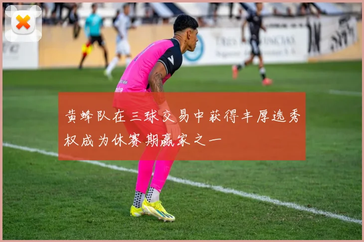 黄蜂队在三球交易中获得丰厚选秀权成为休赛期赢家之一